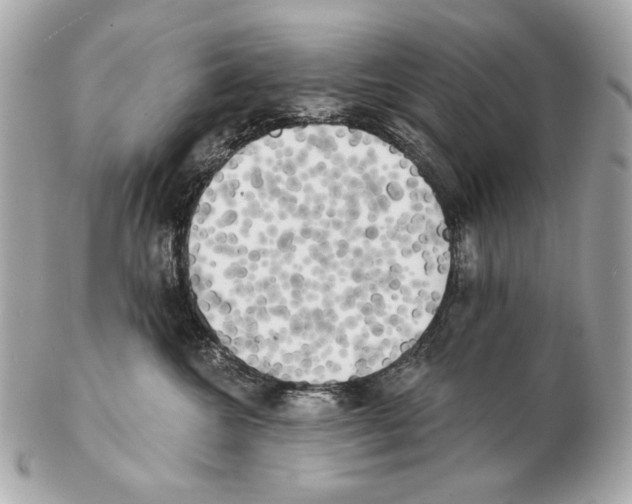 X0000102400572200808291448