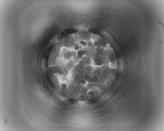 X0000102400573200808291448