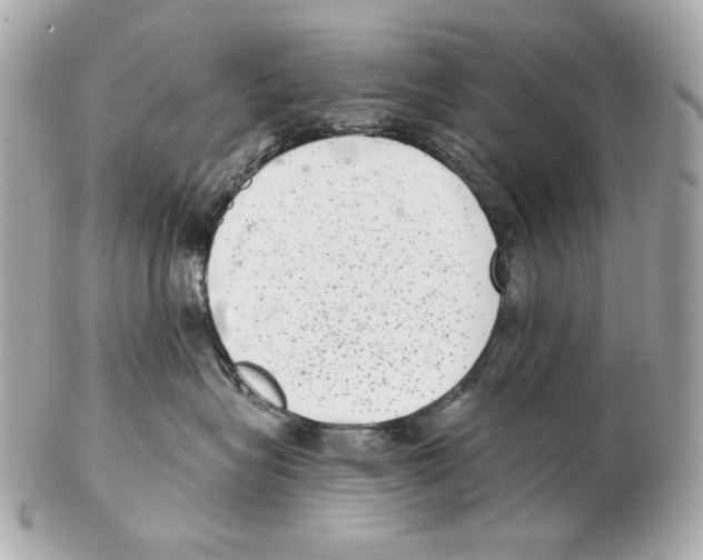 X0000102400575200808291448