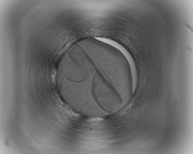 X0000102400576200808291448