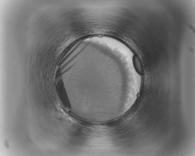 X0000102400577200808291447