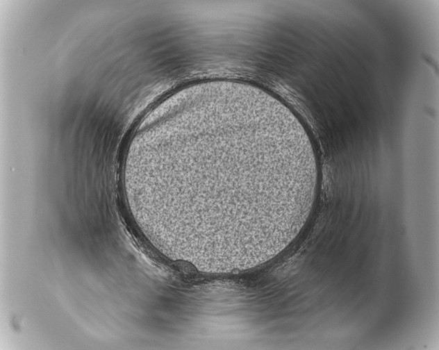 X0000102400578200808291447