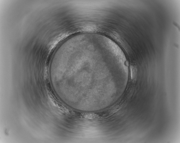 X0000102400579200808291447