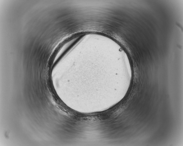 X0000102400580200808291447