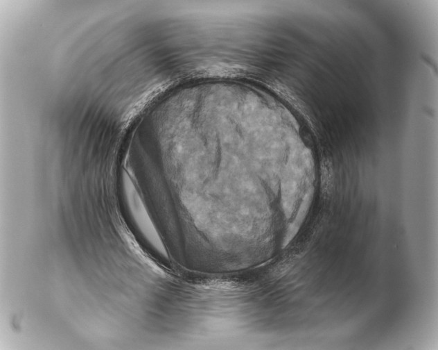 X0000102400581200808291447