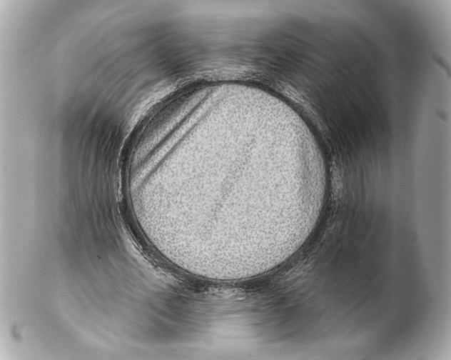 X0000102400582200808291447