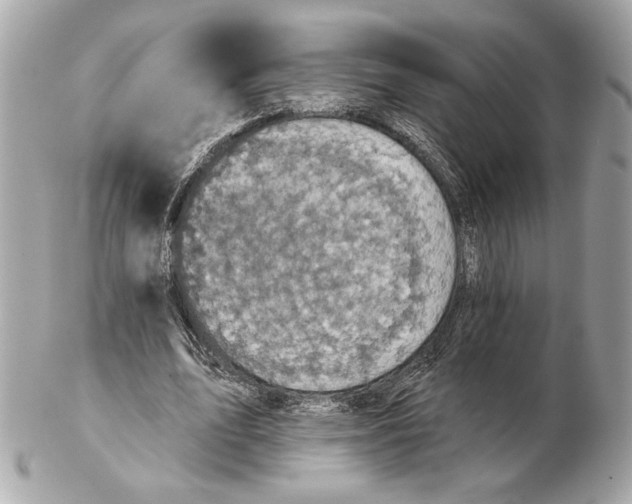 X0000102400583200808291447
