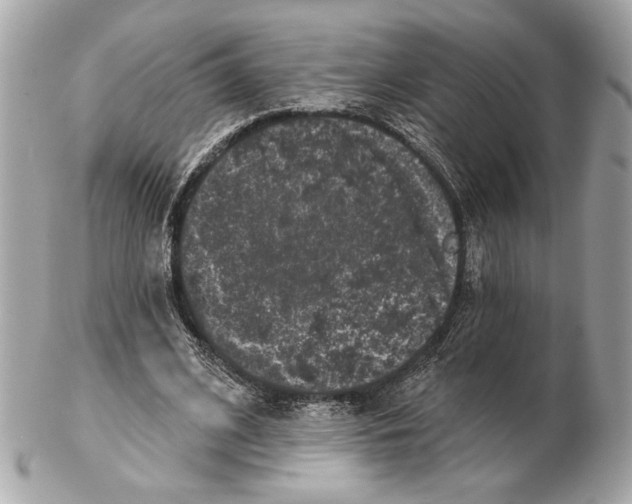 X0000102400584200808291447