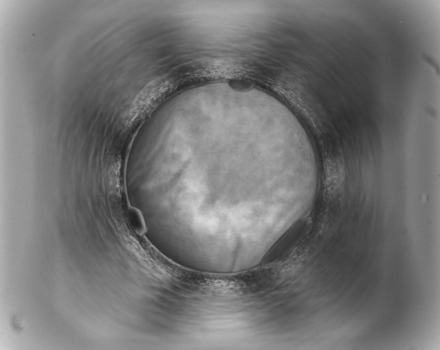 X0000102400585200808291447
