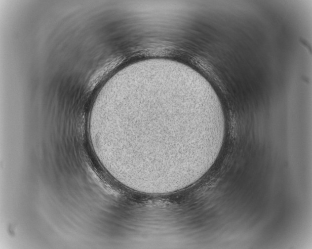 X0000102400586200808291447
