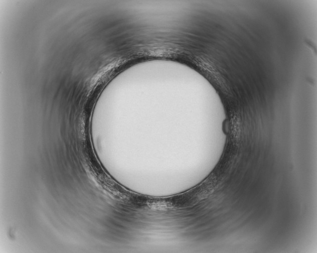 X0000102400587200808291447