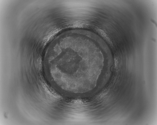 X0000102400588200808291447