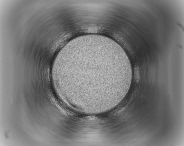 X0000102400589200808291447