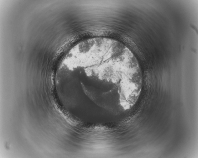 X0000102400590200808291447