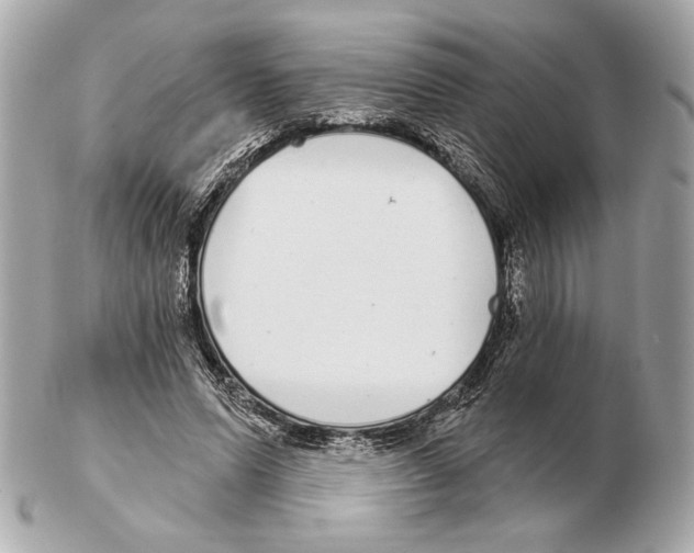 X0000102400591200808291447