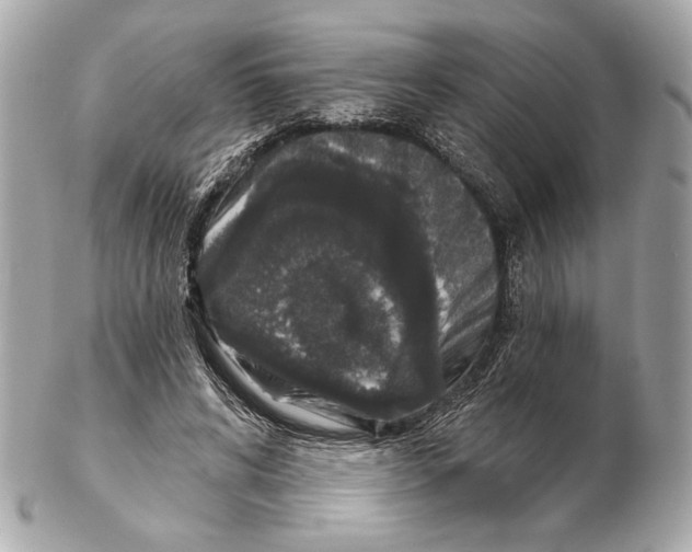 X0000102400592200808291447