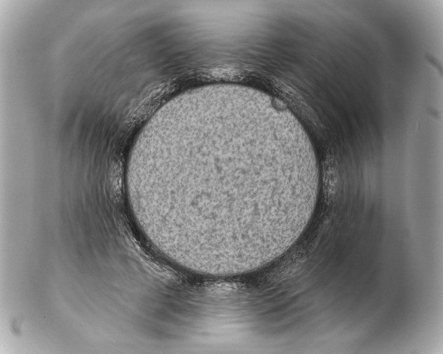 X0000102400593200808291447
