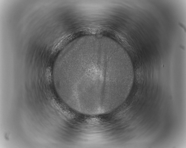 X0000102400594200808291447