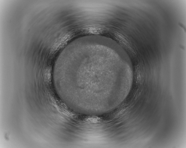 X0000102400595200808291447