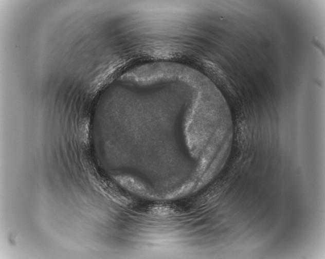 X0000102400596200808291447