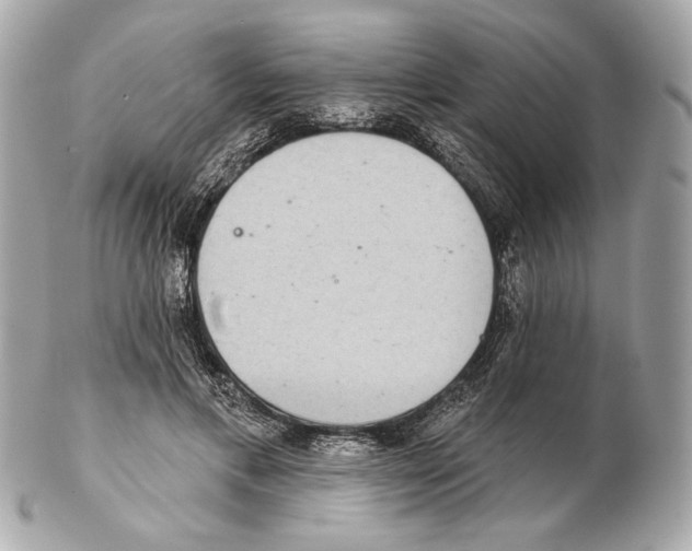 X0000102400597200808291447