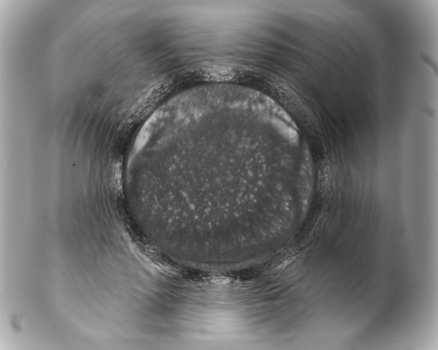 X0000102400598200808291447