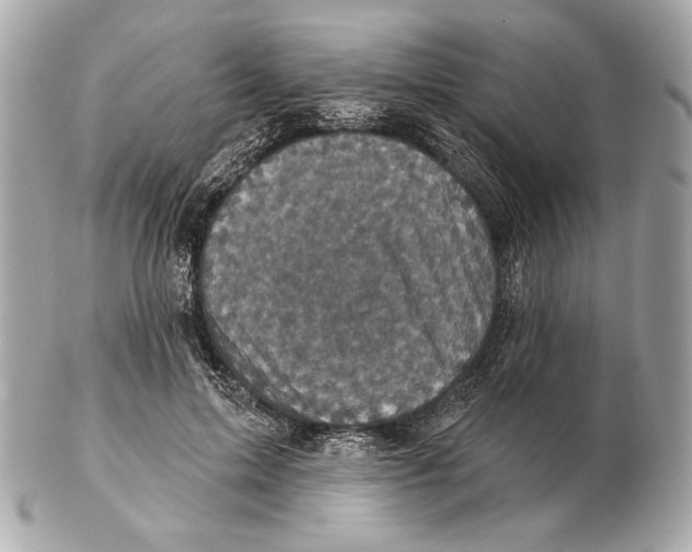X0000102400599200808291447