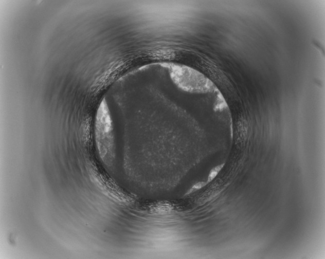 X0000102400600200808291447