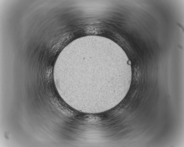 X0000102400601200808291447