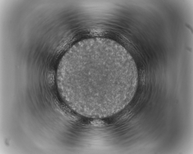 X0000102400603200808291447