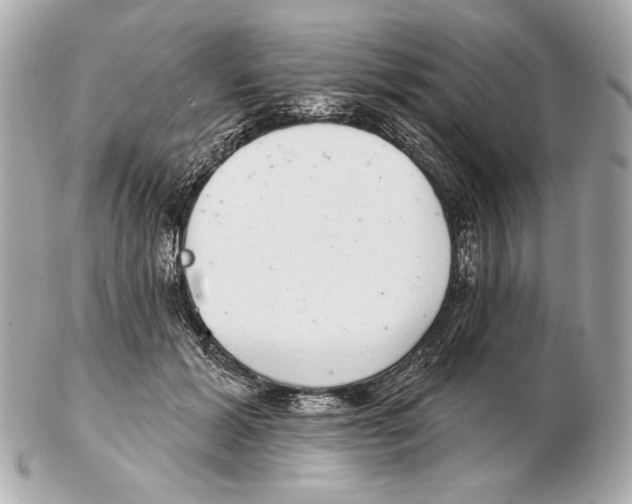 X0000102400605200808291447