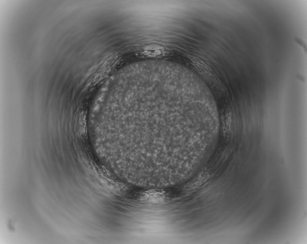 X0000102400606200808291447