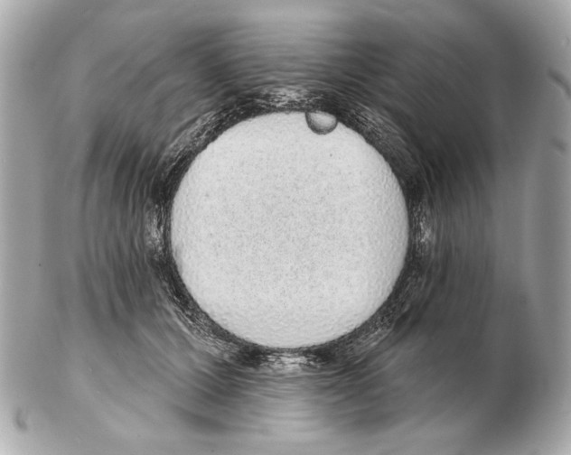 X0000102400607200808291447