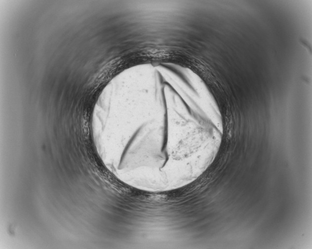 X0000102400609200808291447