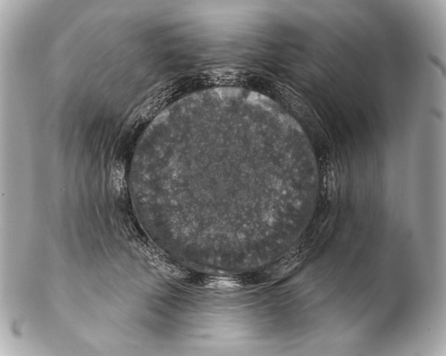 X0000102400610200808291447