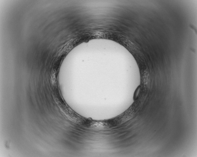 X0000102400611200808291447