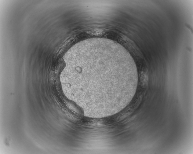X0000102400612200808291447