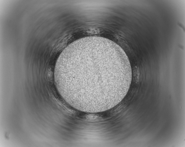 X0000102400614200808291447