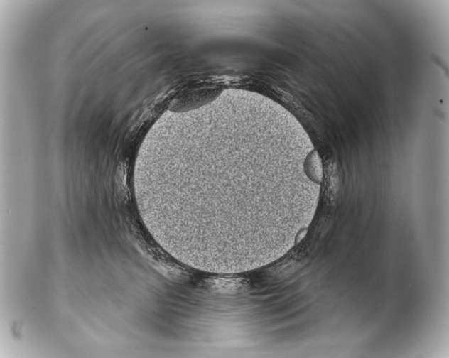 X0000102400615200808291447