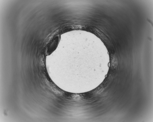 X0000102400616200808291447