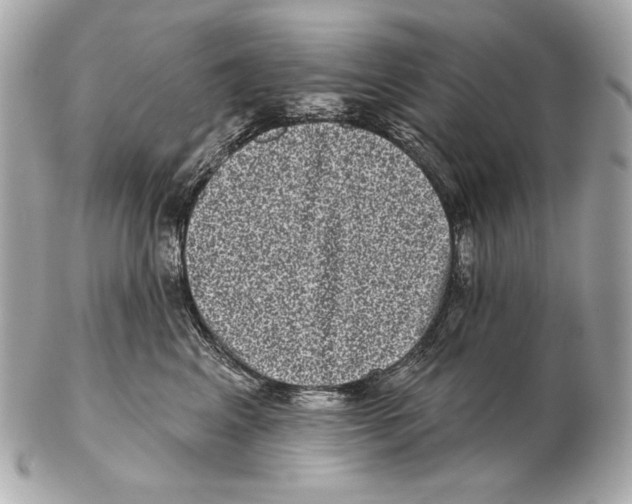 X0000102400617200808291447