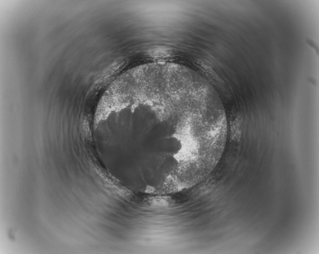 X0000102400618200808291447