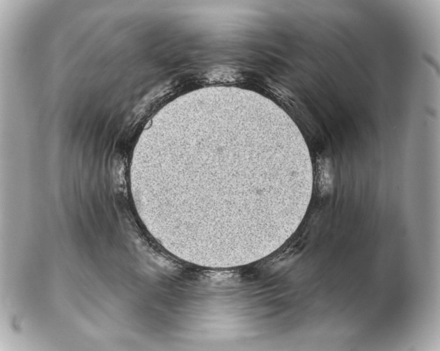 X0000102400619200808291447