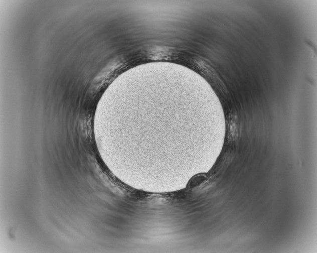 X0000102400620200808291447