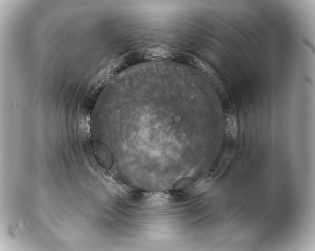 X0000102400621200808291447