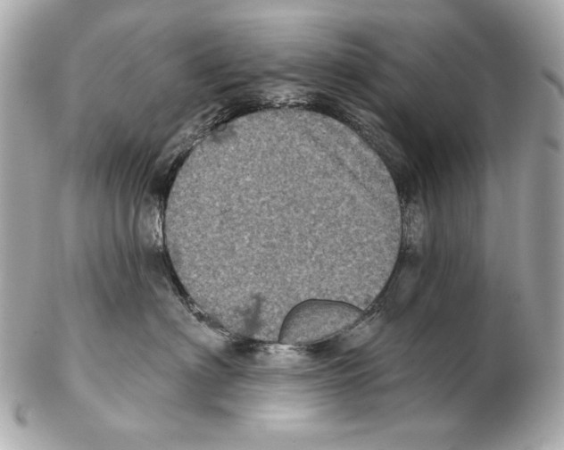 X0000102400622200808291447