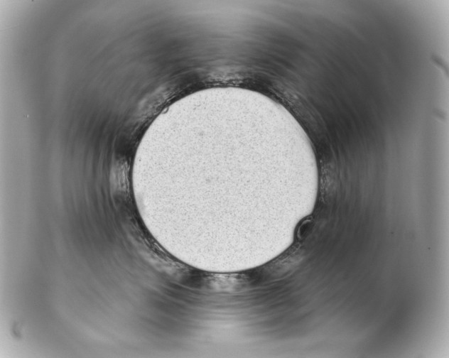 X0000102400623200808291447