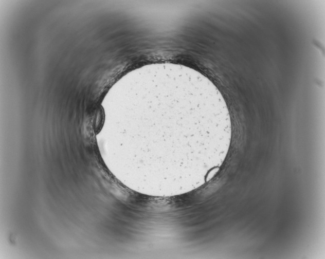 X0000102400624200808291447