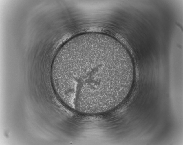 X0000102400625200808291446