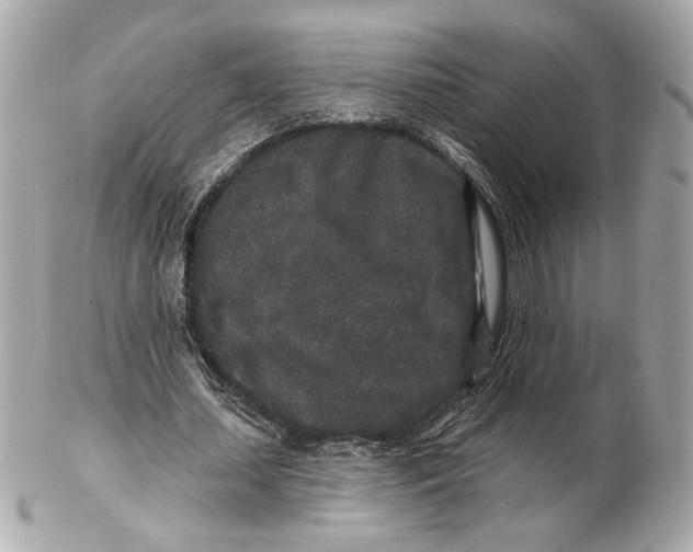 X0000102400627200808291446